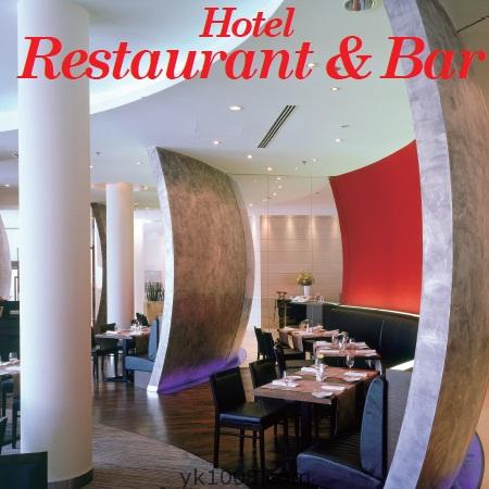 现代时尚知名酒店餐饮酒吧公共空间工装室内设计灵感参考pdf电子书