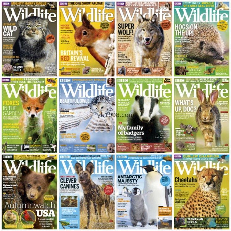 【英国版】《BBC Wildlife》2018年合集自然野生动物保护环境摄影读物pdf杂志（12本）