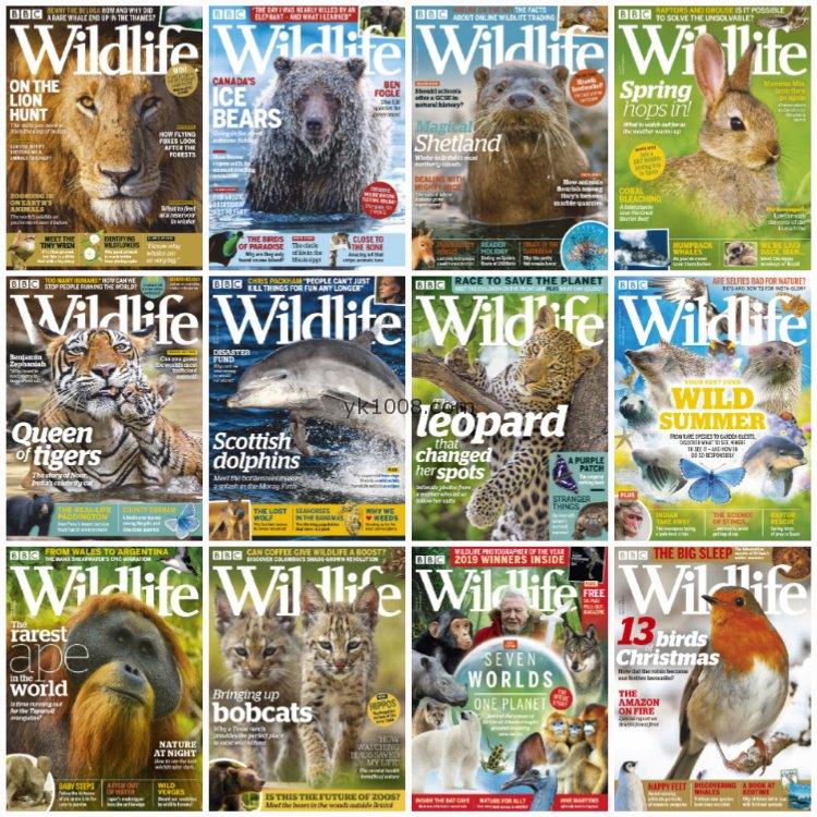 【英国版】《BBC Wildlife》2019年合集自然野生动物保护环境摄影读物pdf杂志（12本）