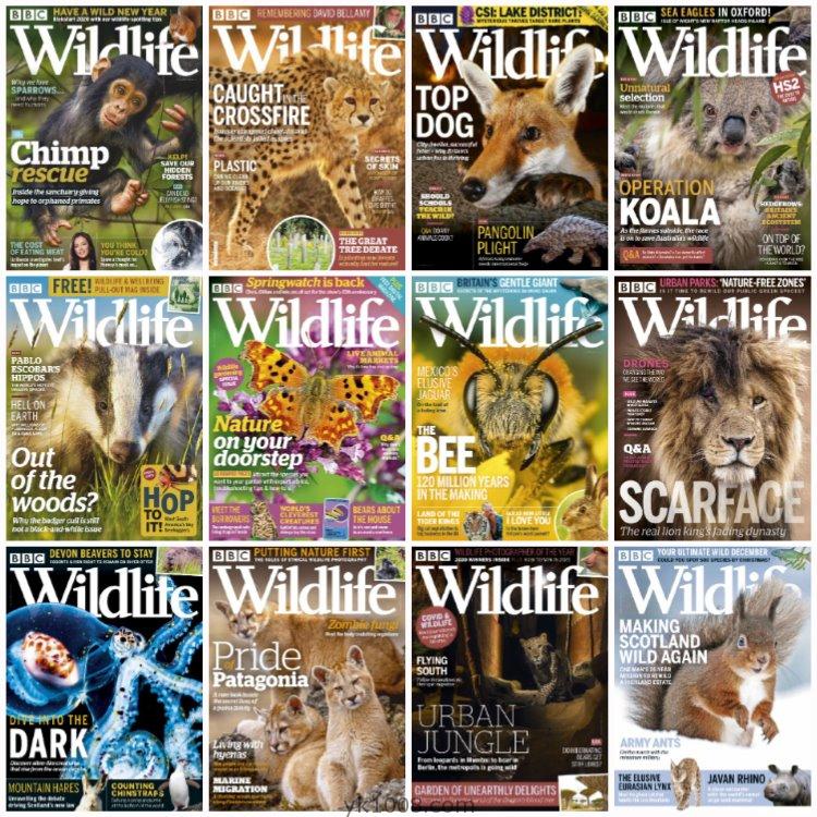 【英国版】《BBC Wildlife》2020年合集自然野生动物保护环境摄影读物pdf杂志（12本）