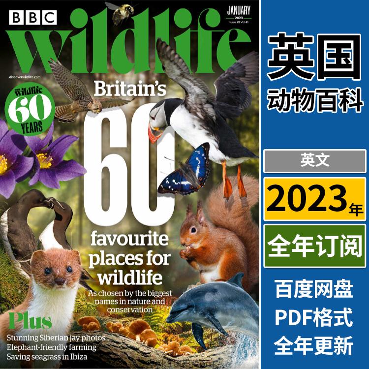 【英国版】《BBC Wildlife》2023年合集自然野生动物保护环境摄影读物pdf杂志（年订阅）
