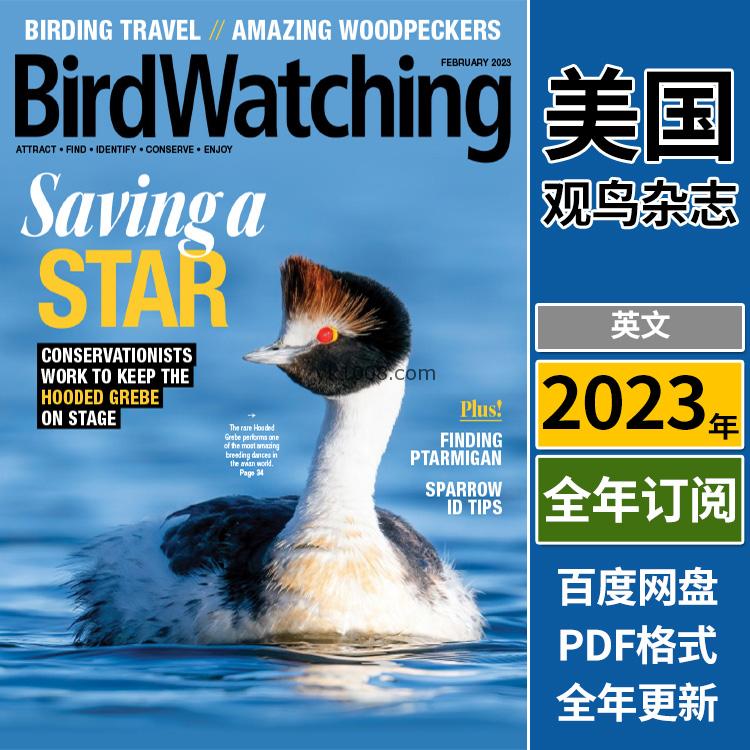 【美国版】《Bird watching USA》2023年合集鸟类爱好者必读休闲观鸟技穷信息兴趣pdf杂志（年订阅）
